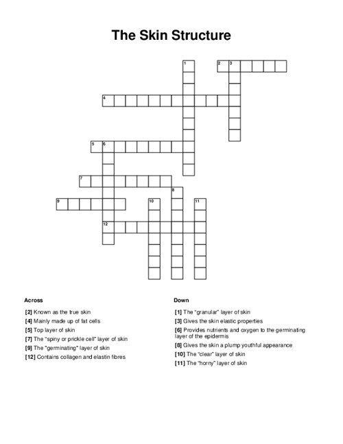 skin crossword clue 4 letters