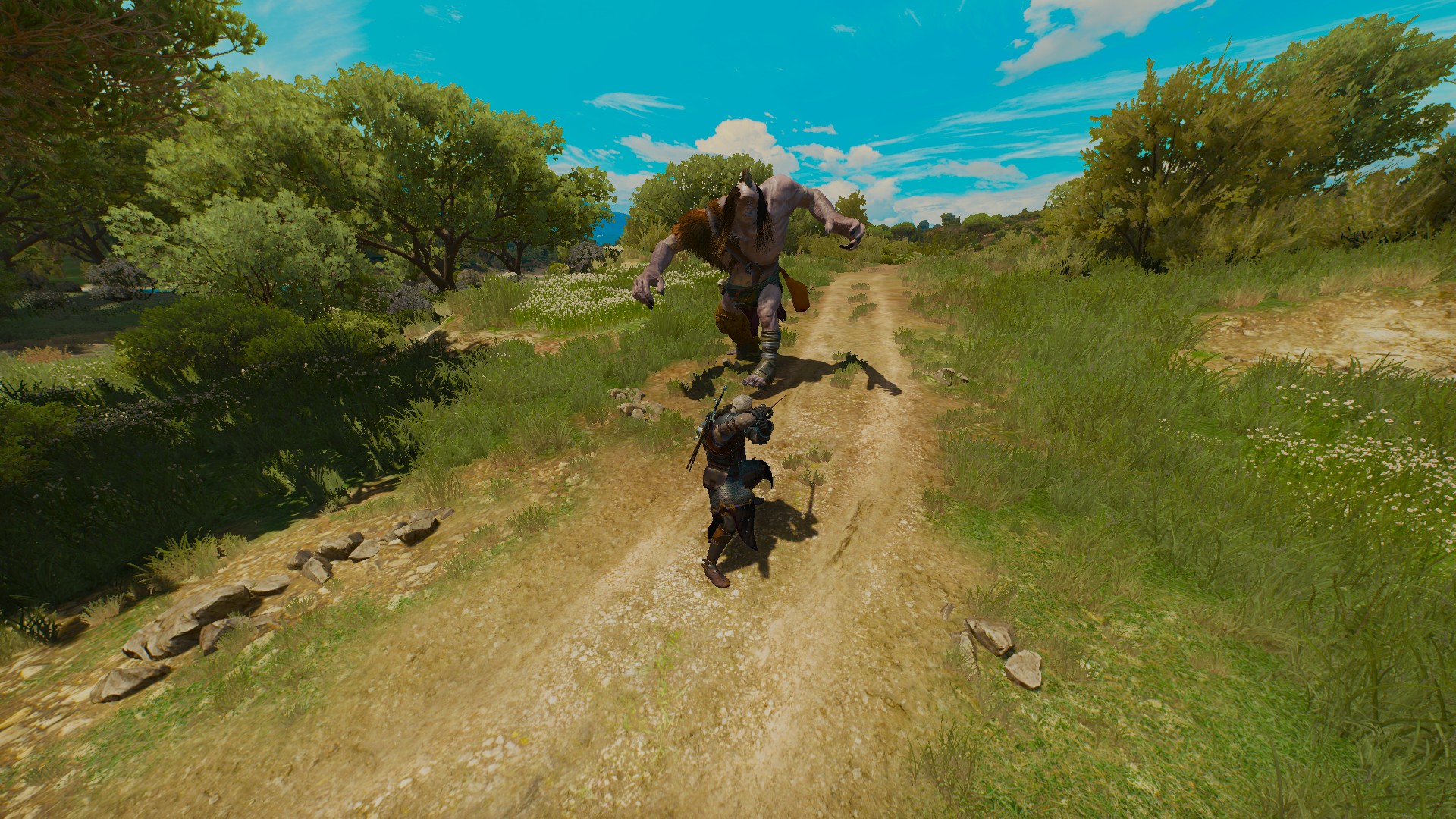 change fov witcher 3