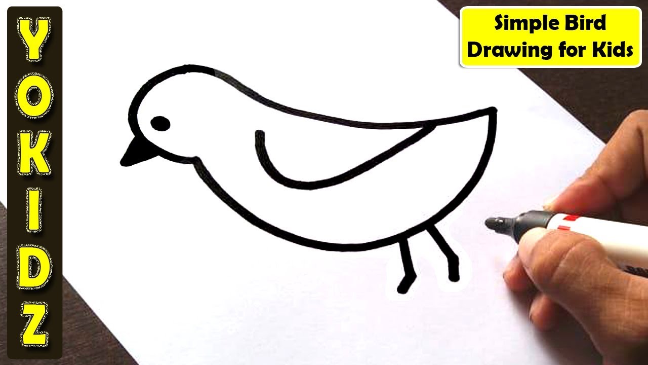 how to draw a bird for kids