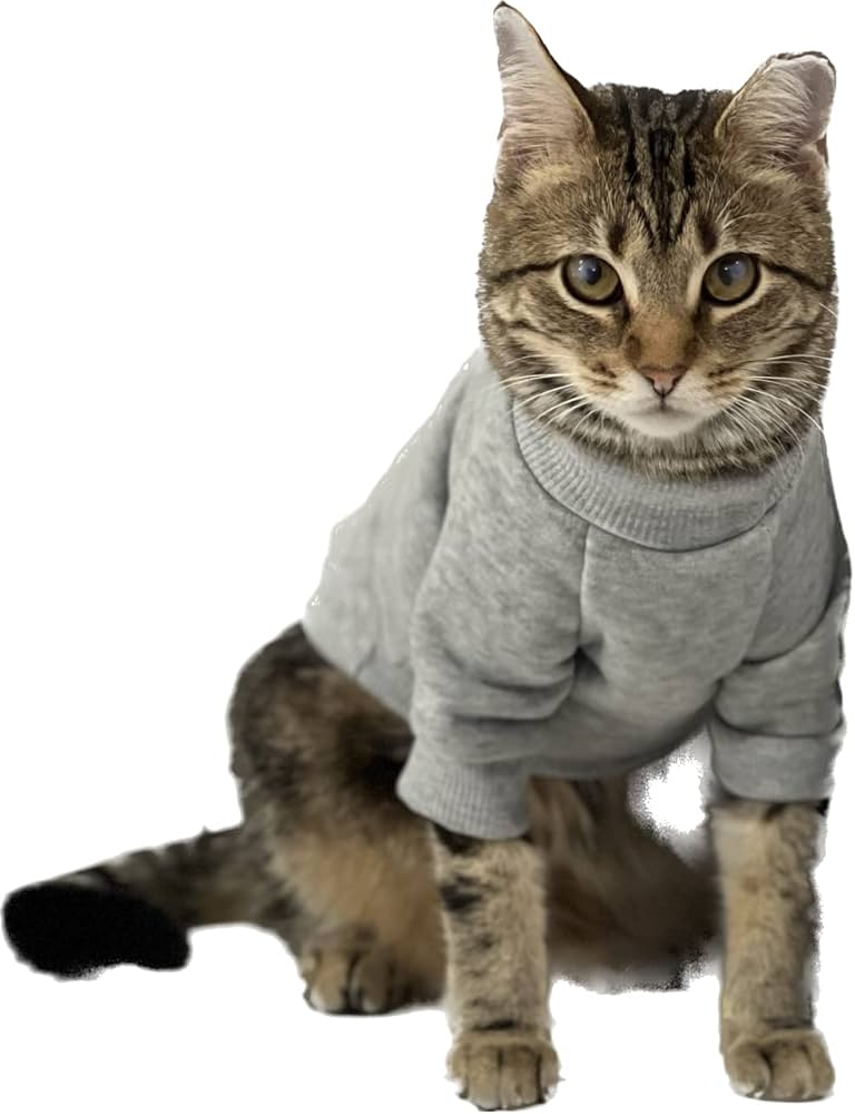 cat clothes amazon