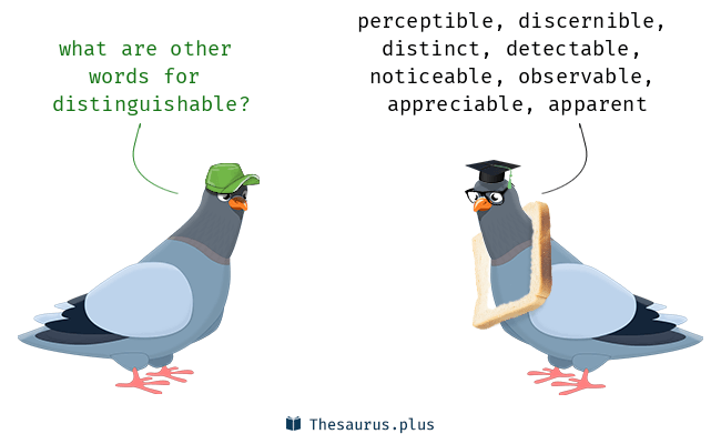 distinguishable synonym