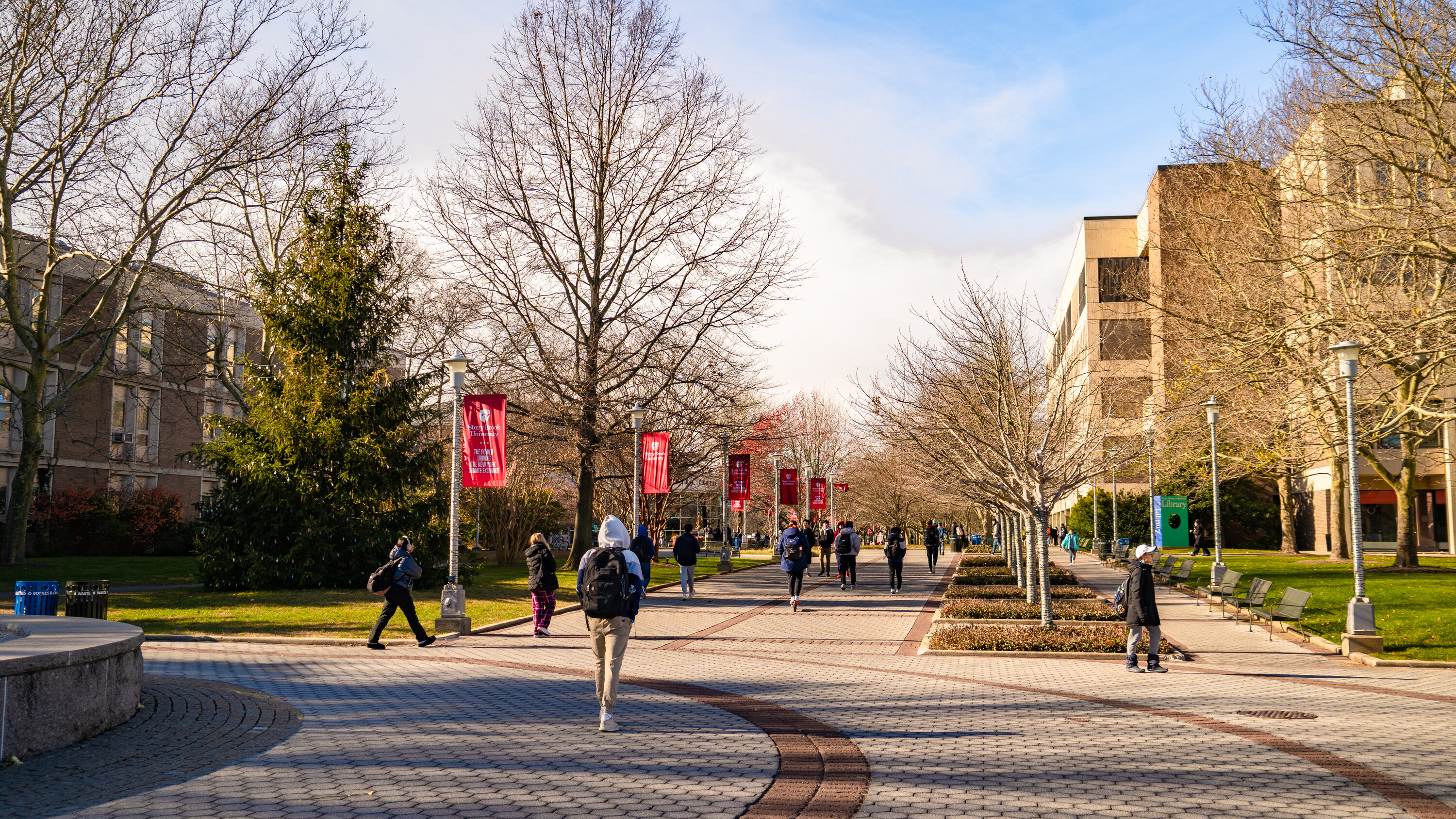 stony brook it