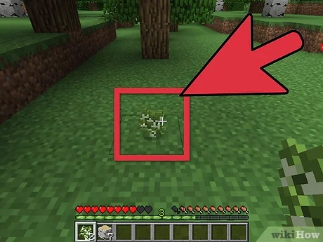 tree grow minecraft