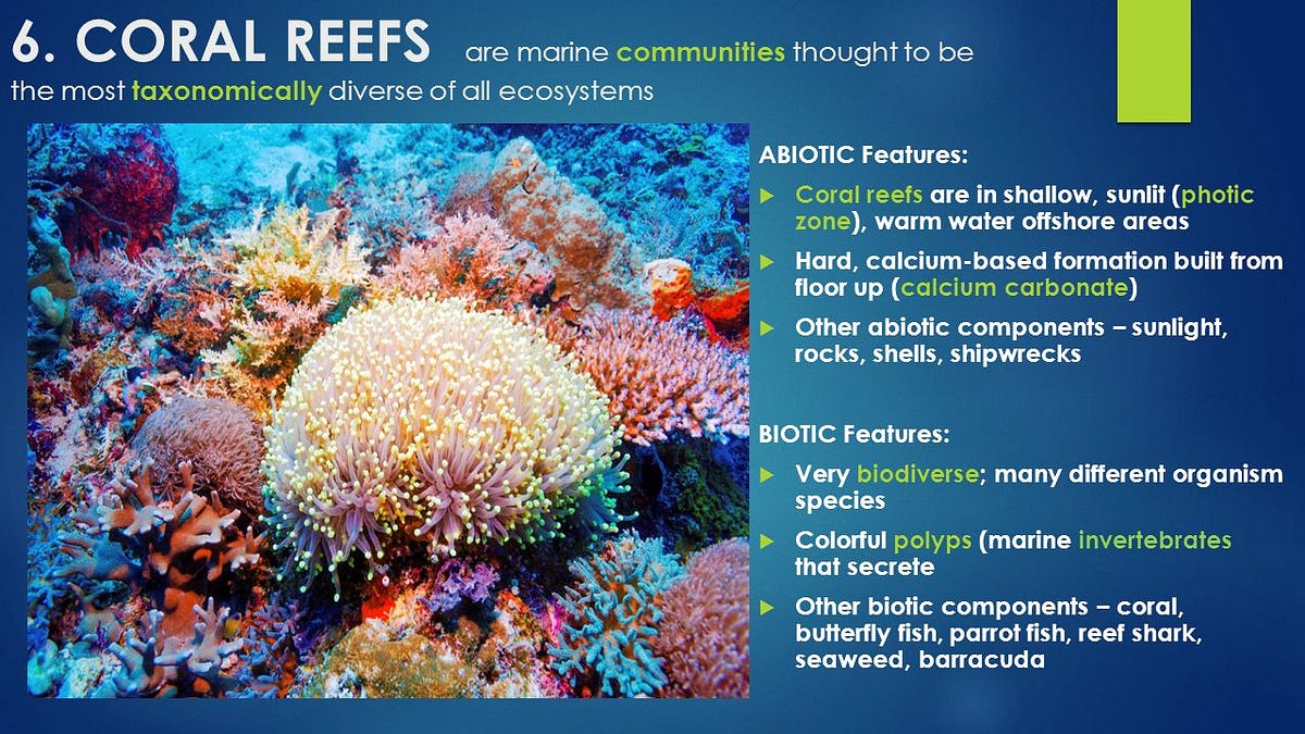 biotic factors for coral reefs