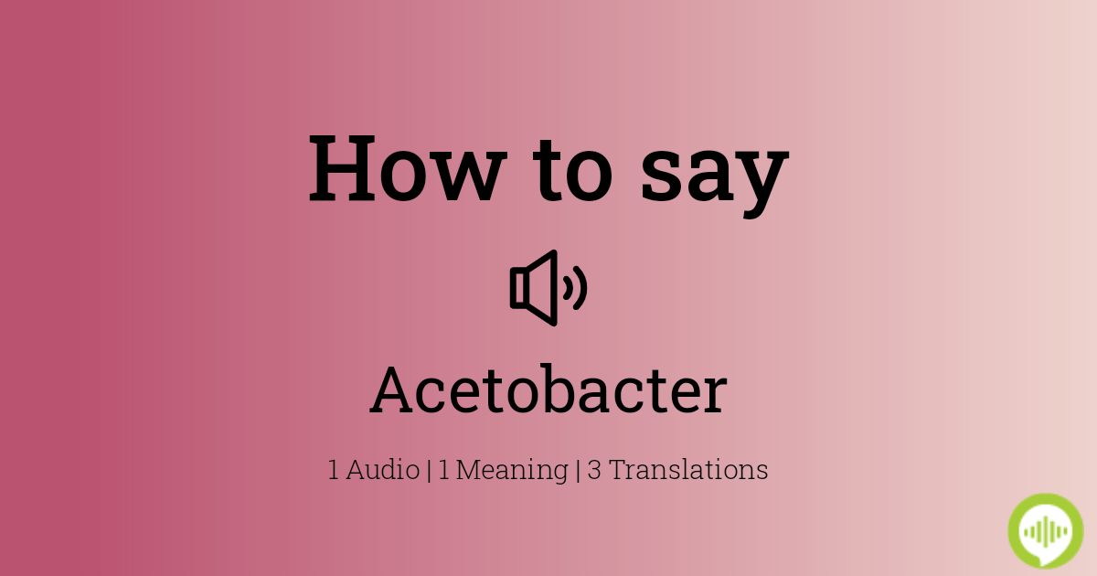 acetobacter pronunciation