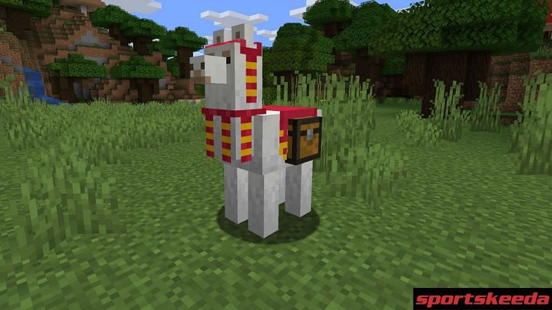 minecraft tame a llama