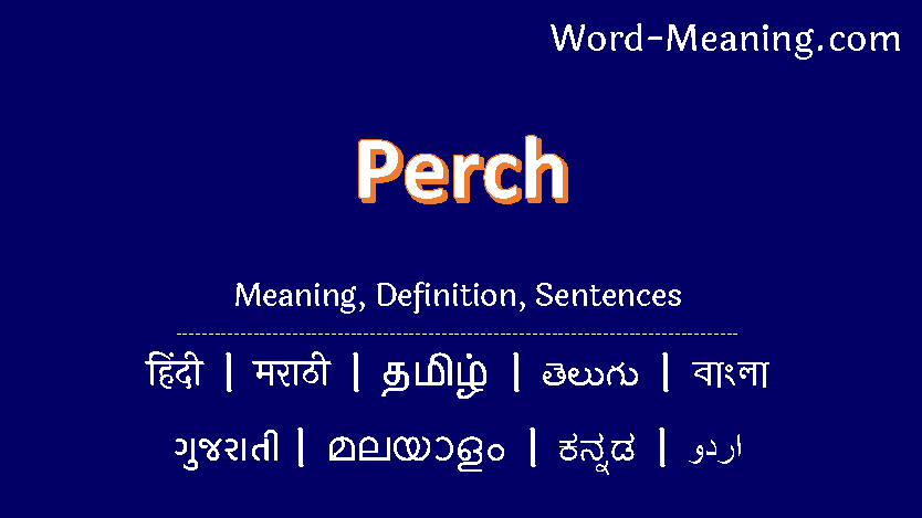 meaning of perch in hindi