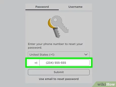 my password in roblox