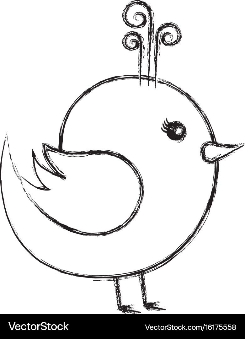 cute bird drawing