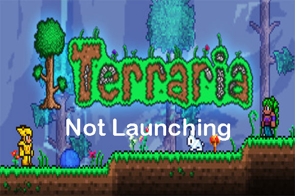 join via steam terraria not working