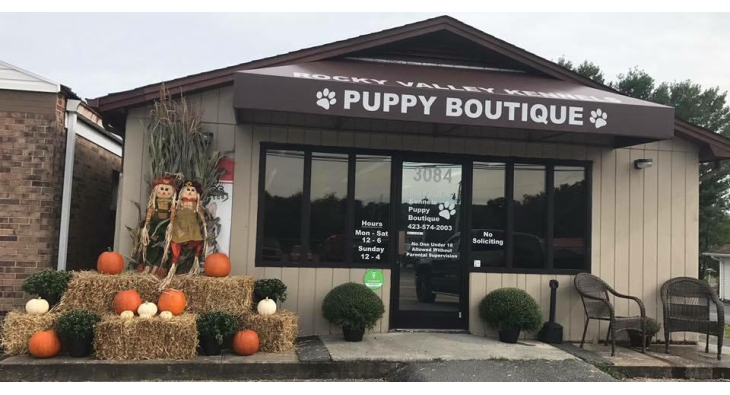 rocky valley kennels puppy boutique