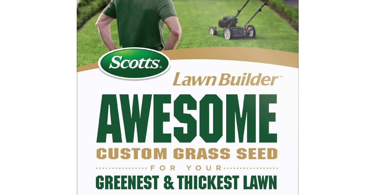 scotts awesome grass seed