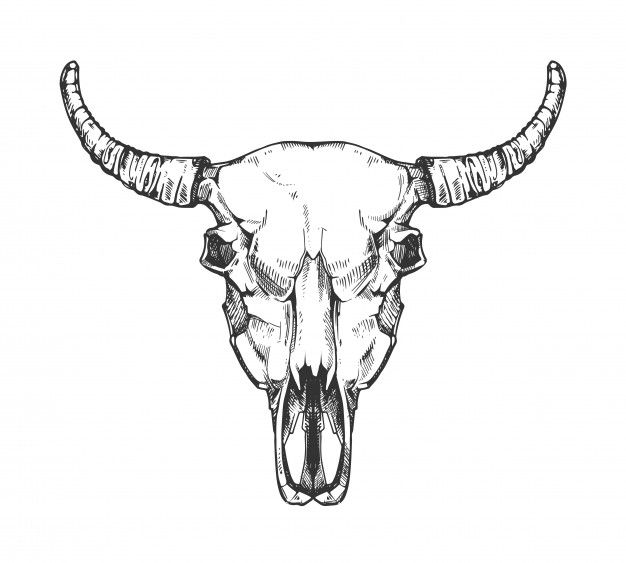 cabeza de toro tattoo