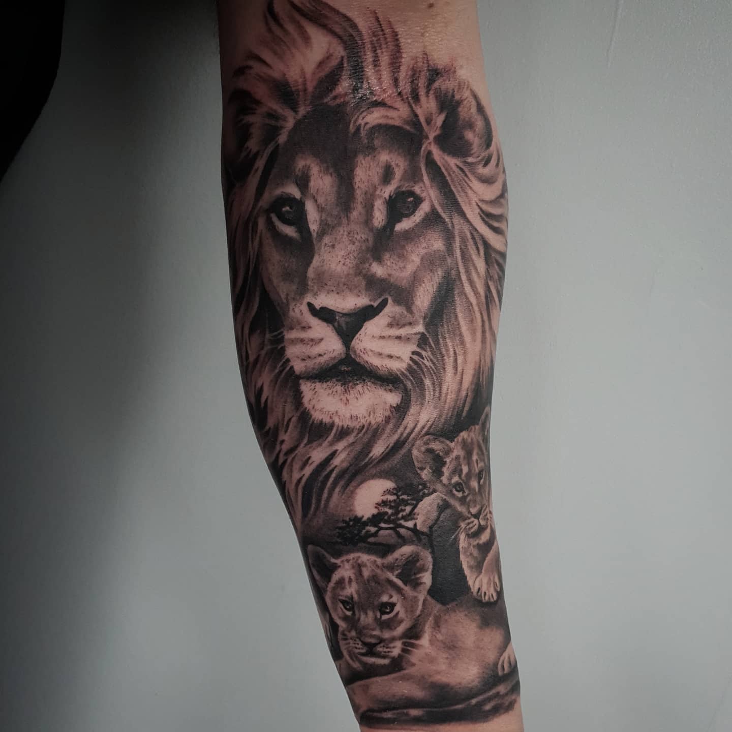 3 lion cubs tattoo
