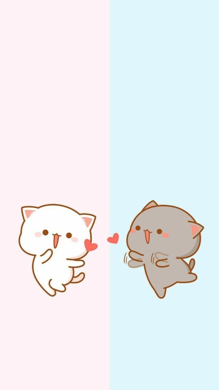 cute cat couple wallpaper