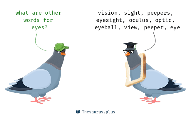 eyes synonym