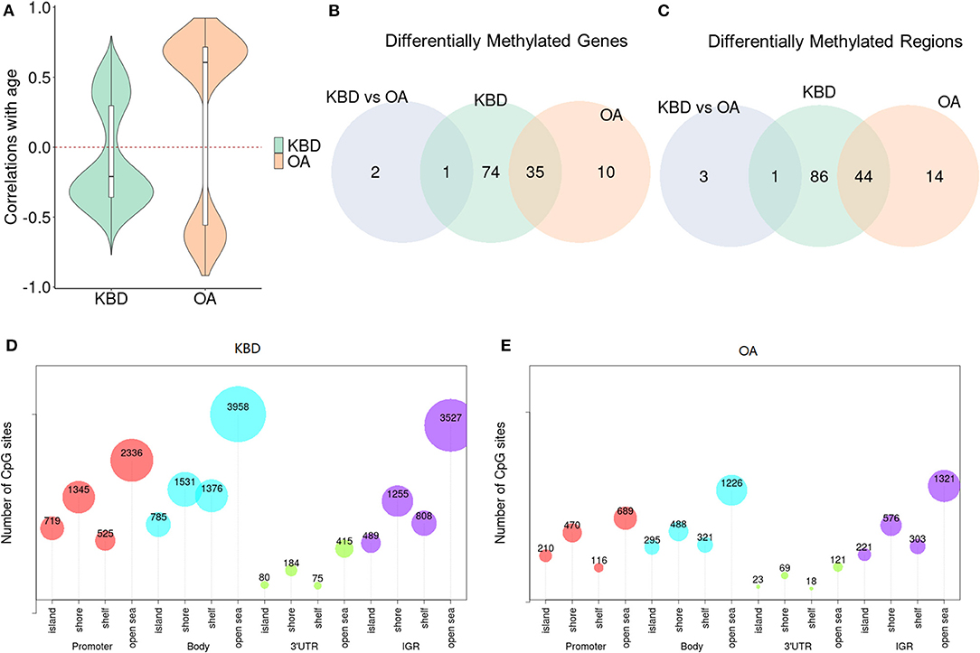 differentially methylated regions