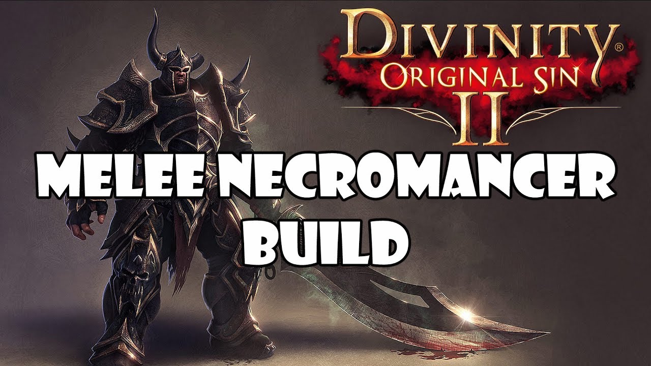 divinity original sin 2 necro build