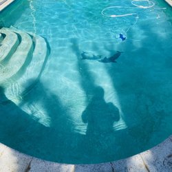 pool maintenance near me