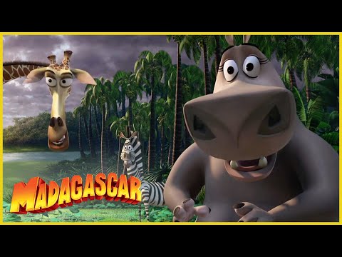 madagascar 1 pelicula completa en español youtube