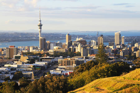 local time in auckland