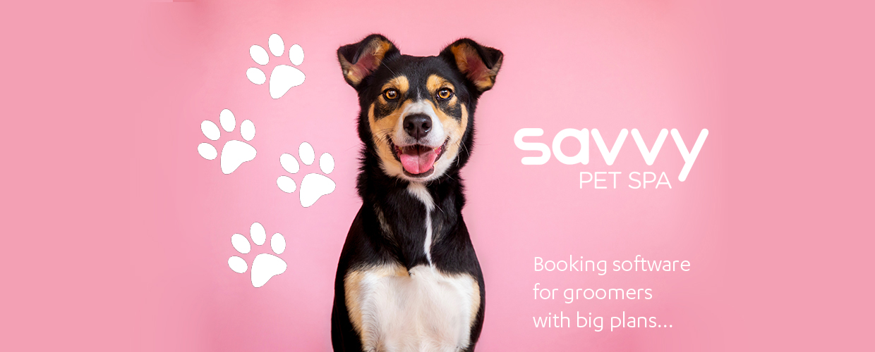 savvy pet spa