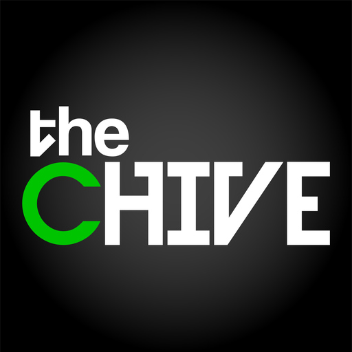 the chive app