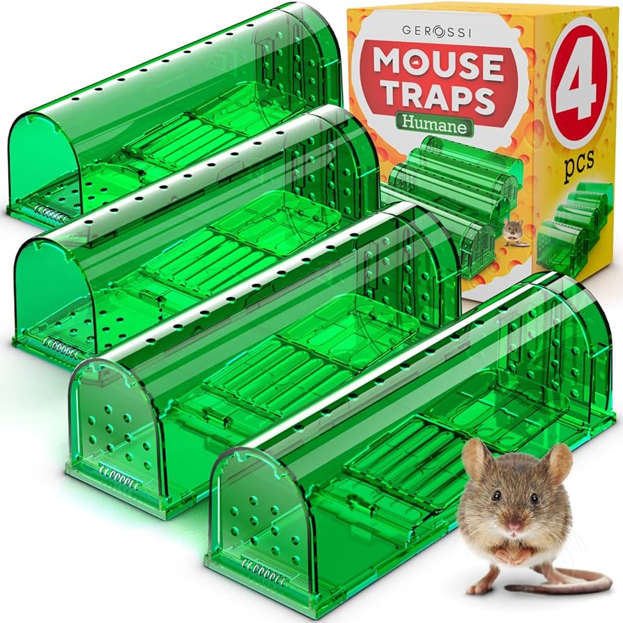 mouse traps at amazon