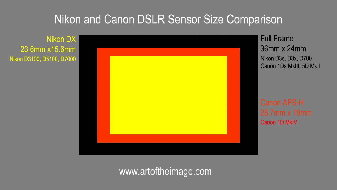 nikon sensor size