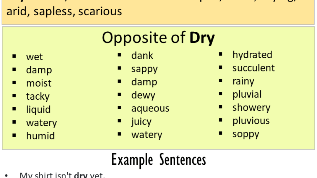 antonyms dry