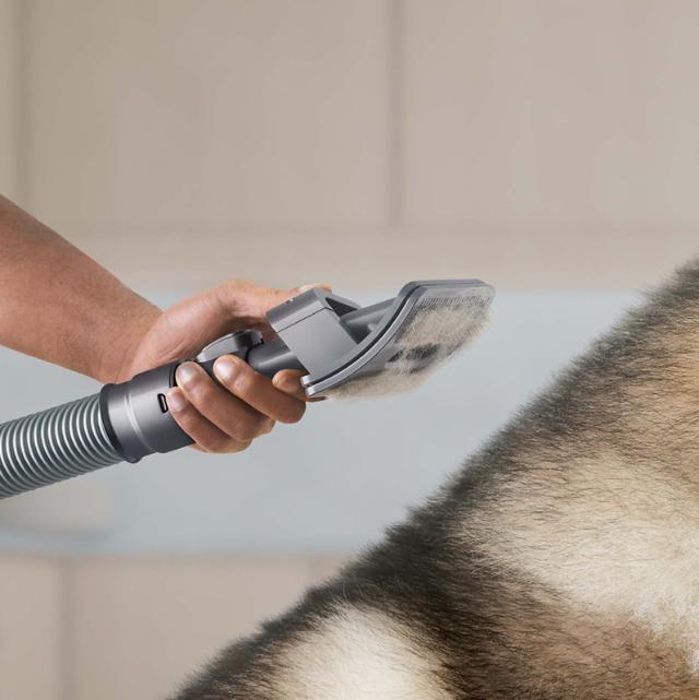 dyson grooming kit