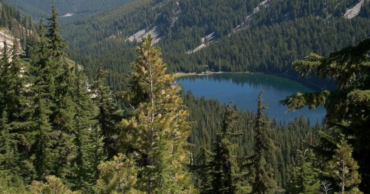 idaho panhandle national forest