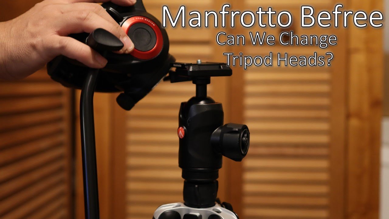 manfrotto befree ball head replacement
