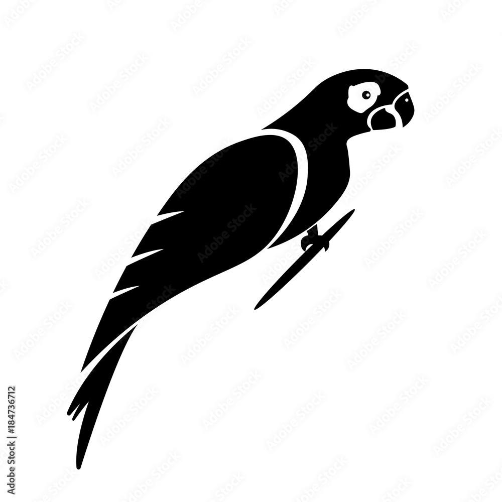 parrot vector