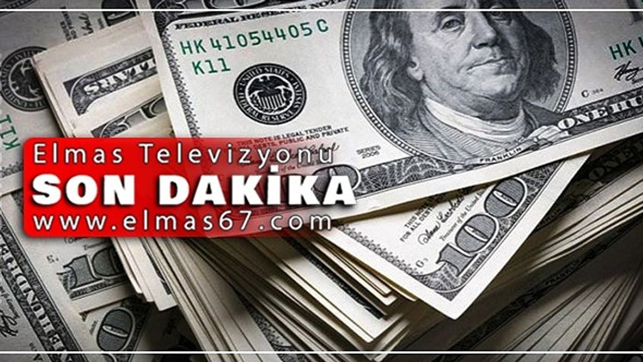 0.73 dolar kaç tl