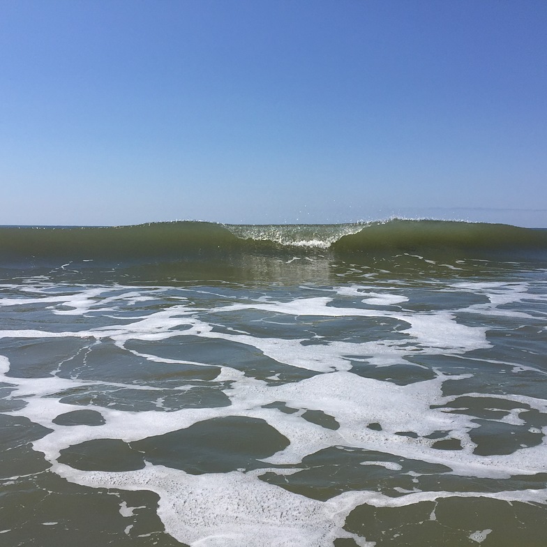 accuweather isle of palms