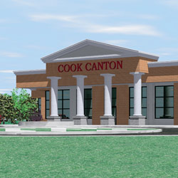 cook medical canton il