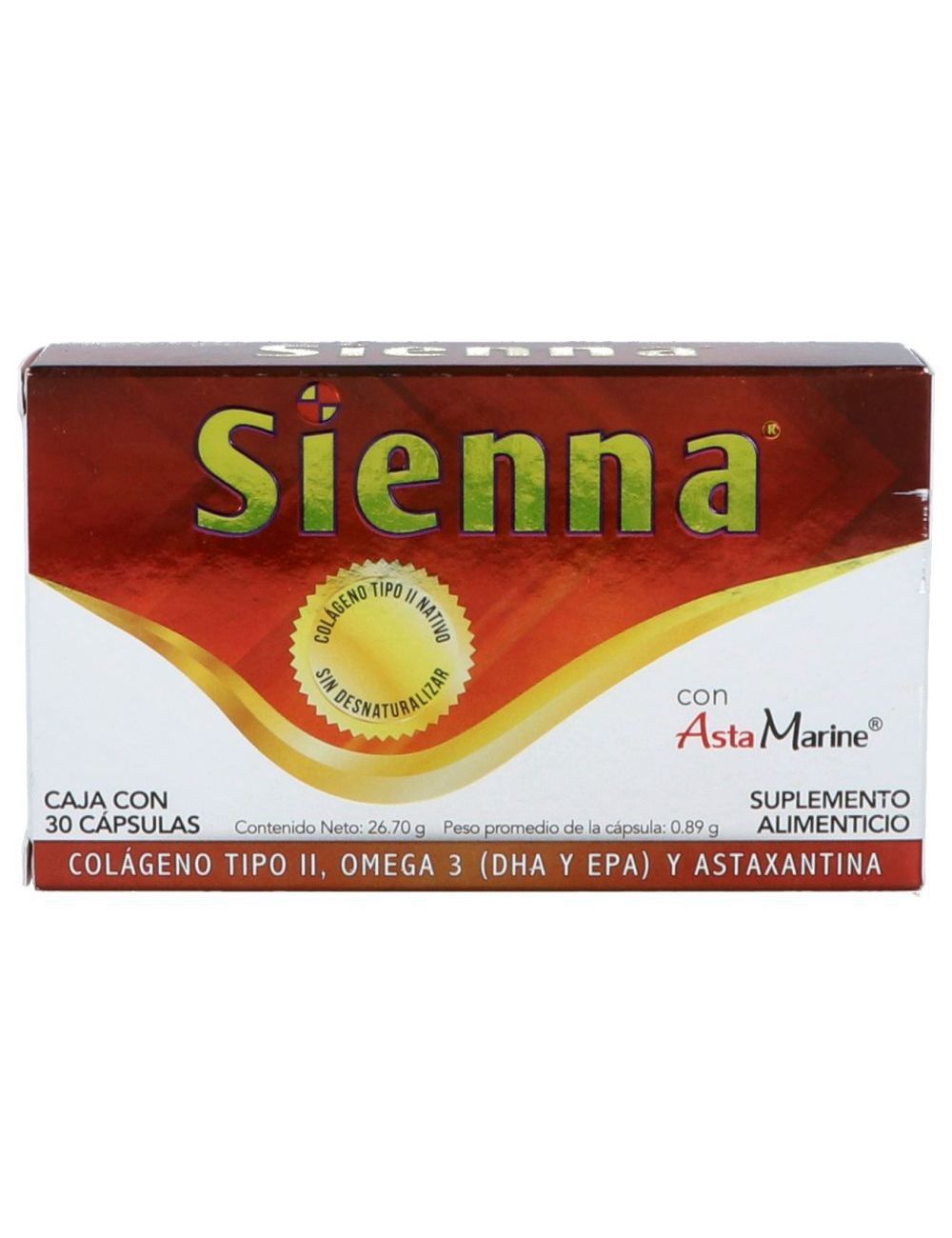 sienna plm