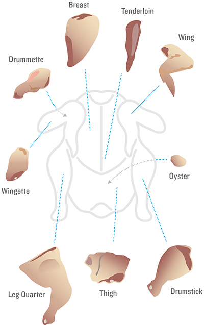 chicken oyster diagram