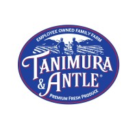 tanimura and antle careers