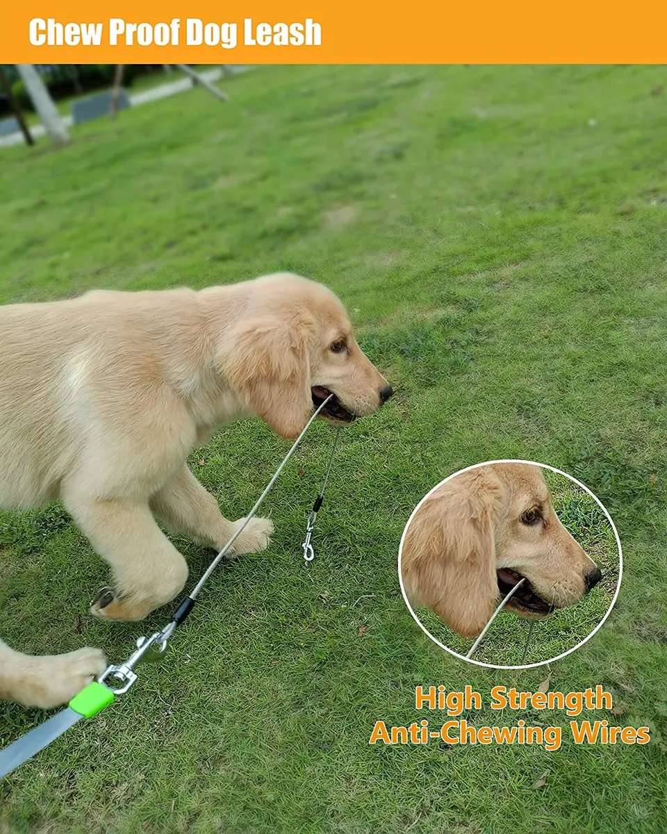 chew proof dog leash