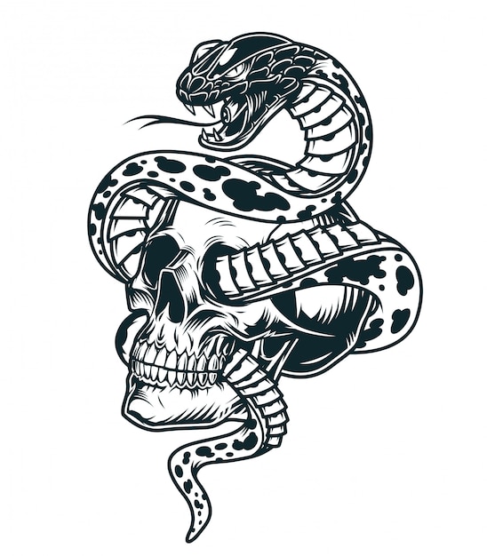 calavera con serpiente dibujo