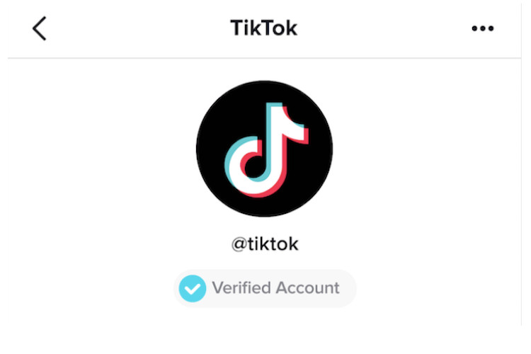 verified tiktok copy and paste