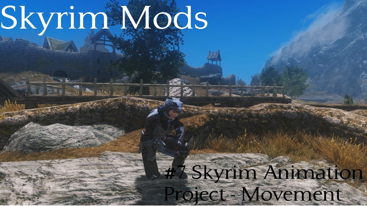 skyrim realistic animation project