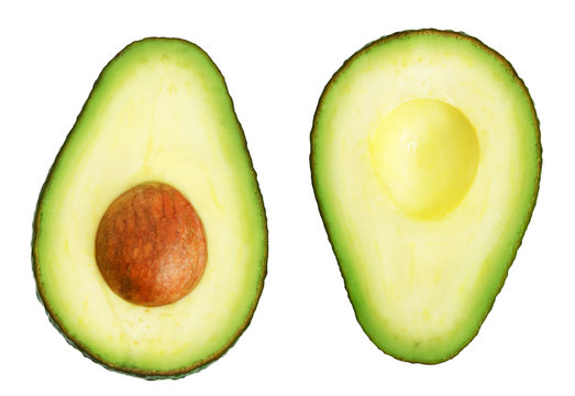 avocado stock photo