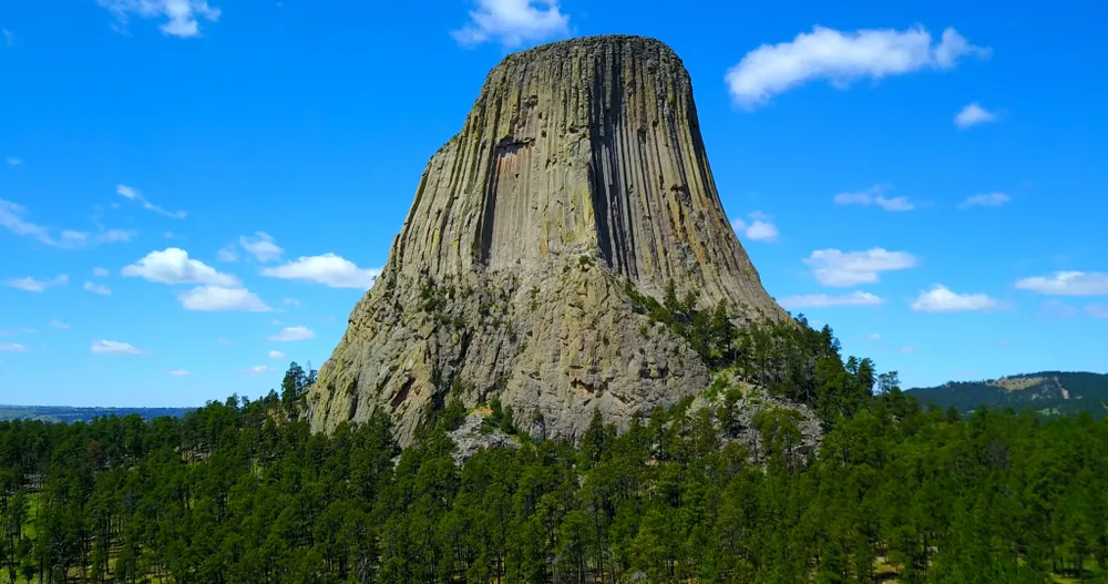 tree mountains