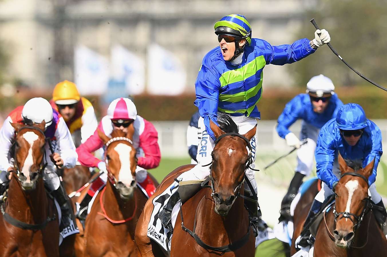 caulfield cup trifecta