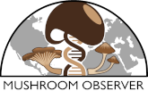 mushroom observer