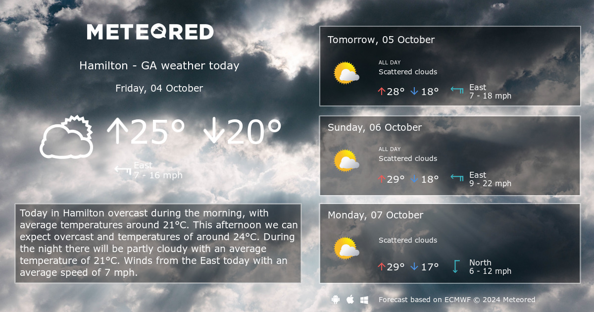 hamilton on weather 14 day