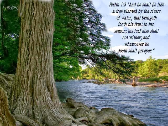 psalm 1 nkjv